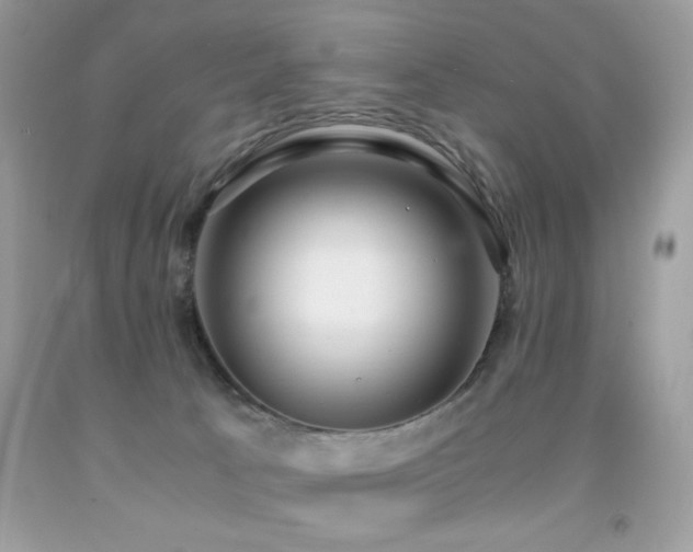 X0000091920033200709051450