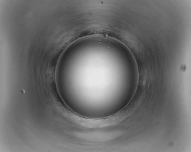 X0000091920034200709051450
