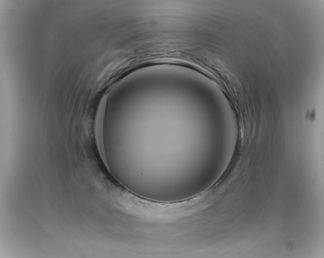 X0000091920035200709051450