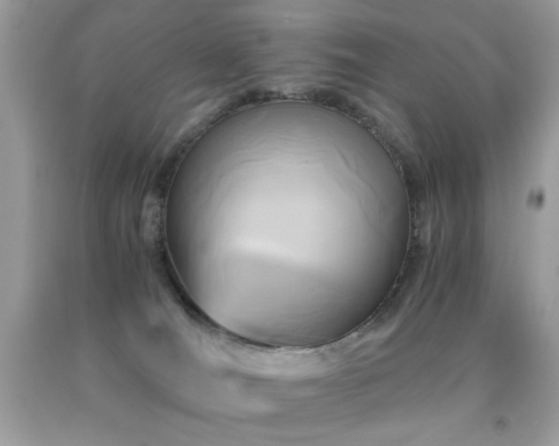 X0000091920036200709051450