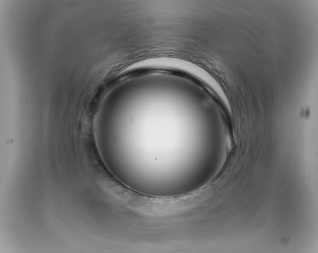 X0000091920037200709051450