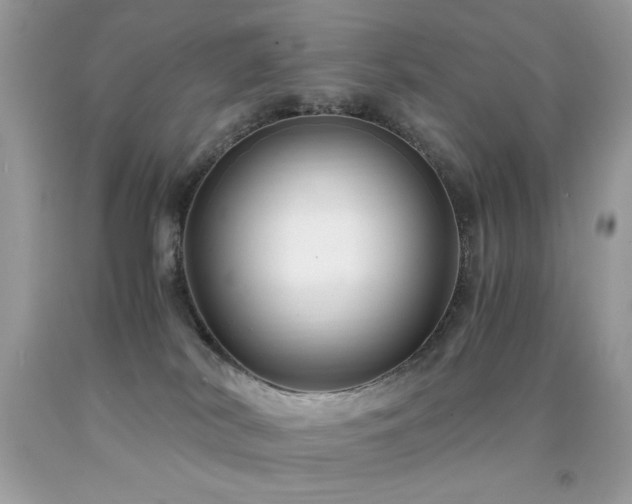 X0000091920038200709051449