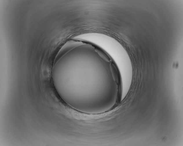 X0000091920039200709051449