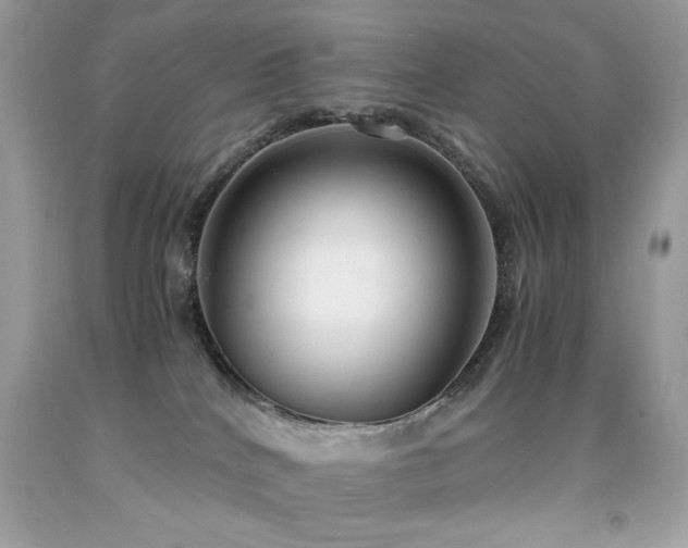 X0000091920040200709051449