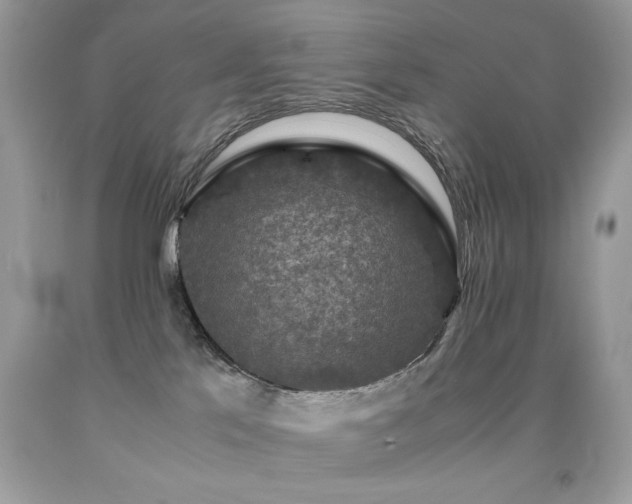 X0000091920041200709051449