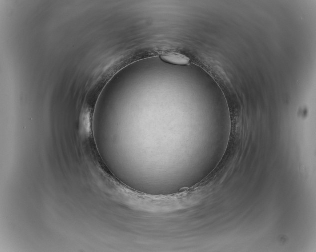 X0000091920042200709051449
