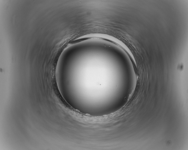 X0000091920043200709051449