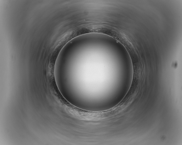 X0000091920044200709051449
