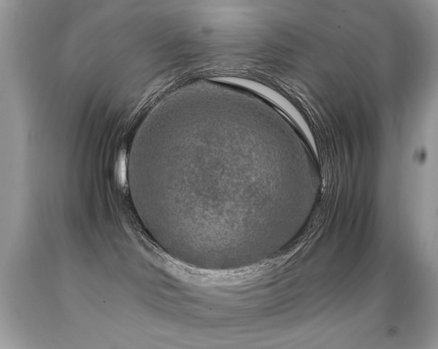 X0000091920046200709051449