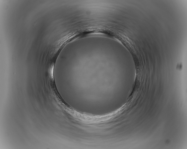 X0000091920047200709051449