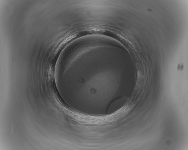 X0000091920048200709051449