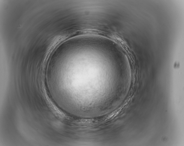 X0000091920049200709051449