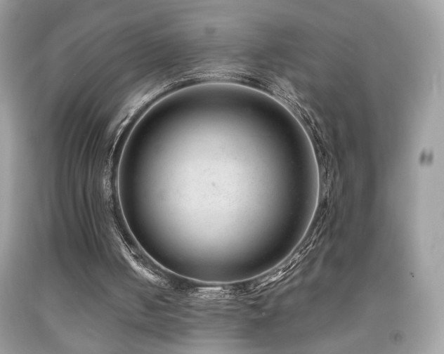 X0000091920050200709051449