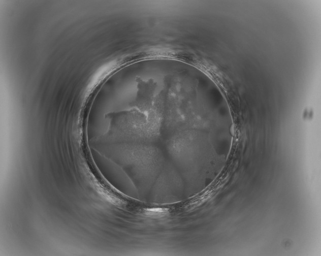 X0000091920053200709051449