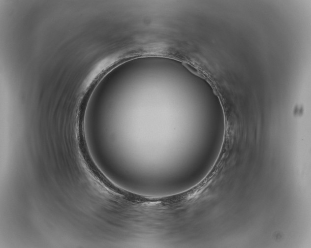 X0000091920054200709051449