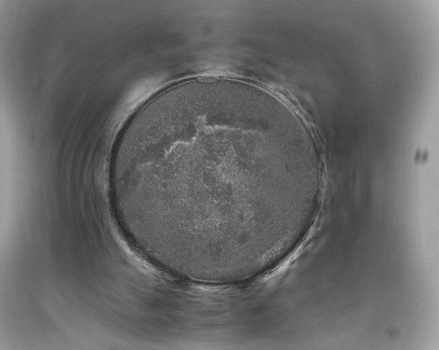 X0000091920055200709051449