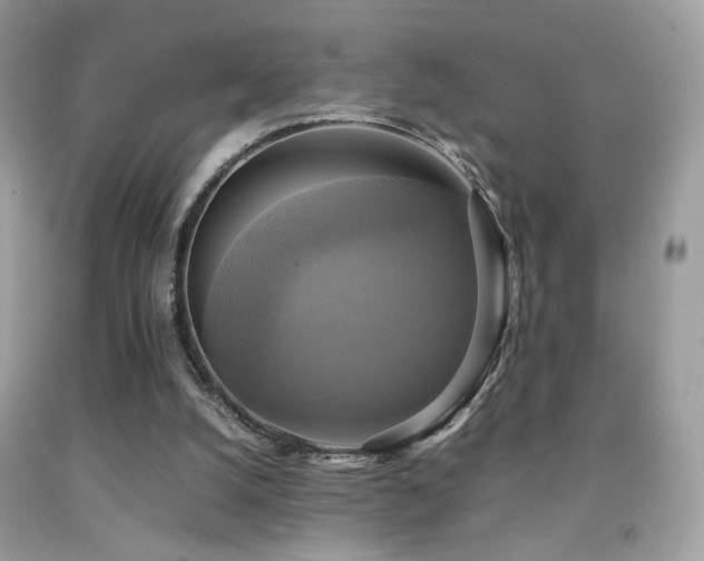 X0000091920056200709051449