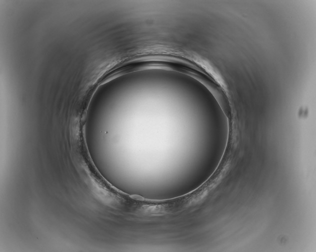 X0000091920057200709051449