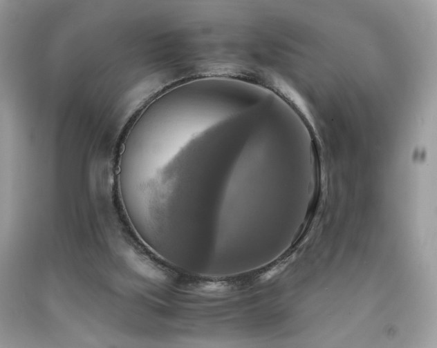 X0000091920059200709051449
