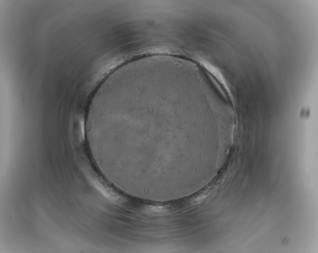 X0000091920061200709051449