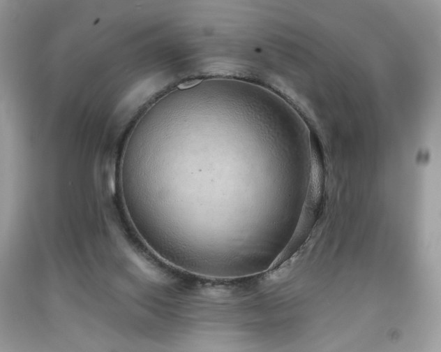 X0000091920062200709051449