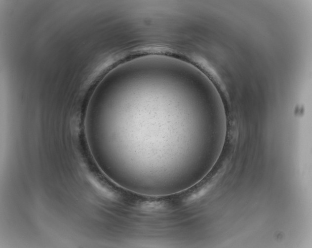 X0000091920063200709051449