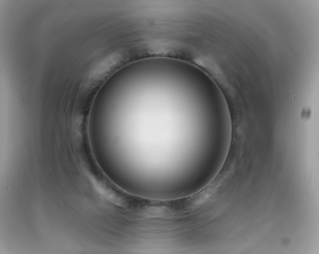 X0000091920066200709051449