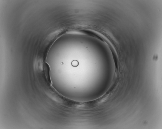 X0000091920068200709051449