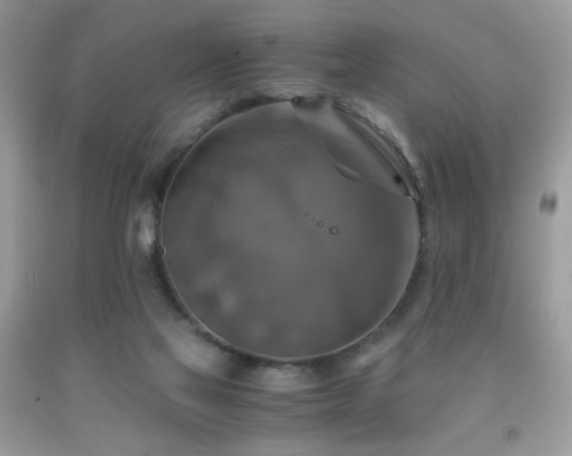 X0000091920069200709051449