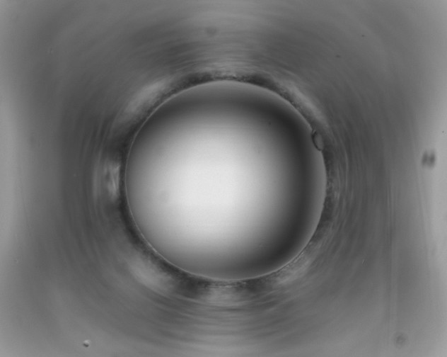 X0000091920070200709051449