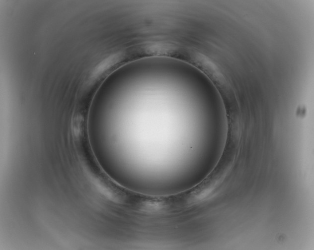 X0000091920071200709051449