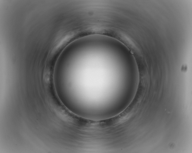X0000091920072200709051449