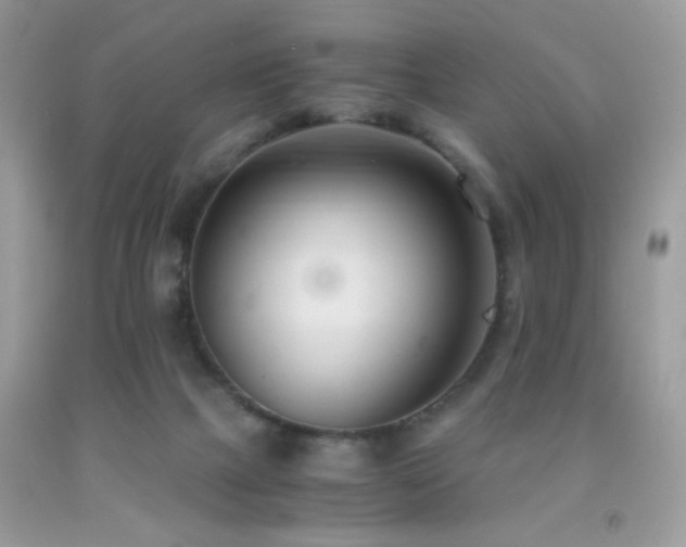 X0000091920073200709051449