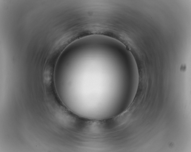 X0000091920074200709051449