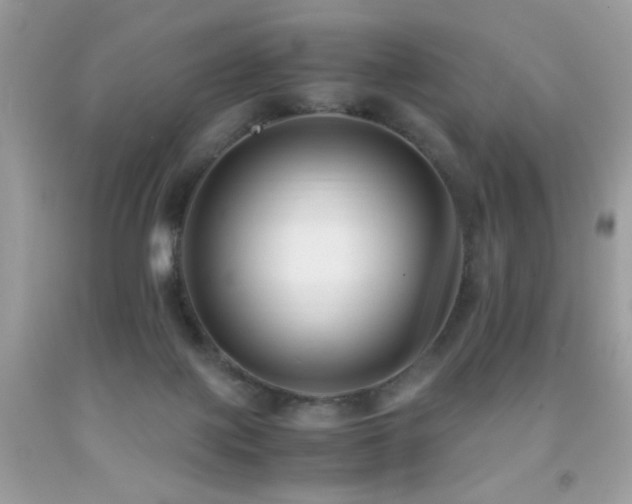X0000091920075200709051449