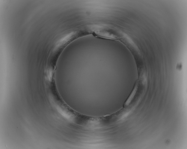 X0000091920076200709051449