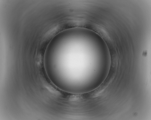 X0000091920077200709051449