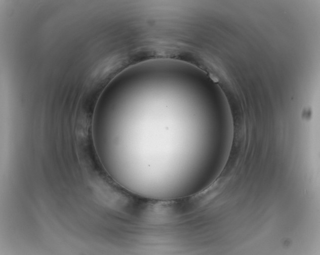 X0000091920078200709051449