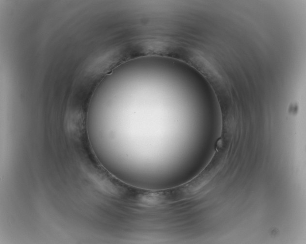 X0000091920079200709051449
