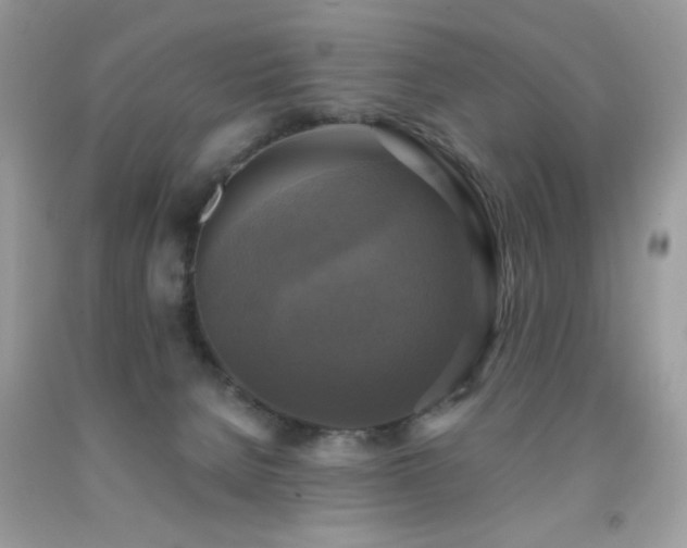 X0000091920080200709051449