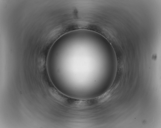 X0000091920082200709051449