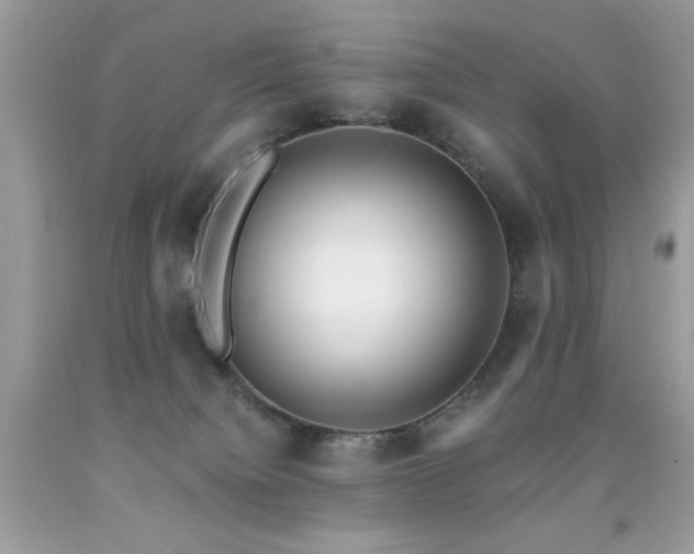 X0000091920084200709051449