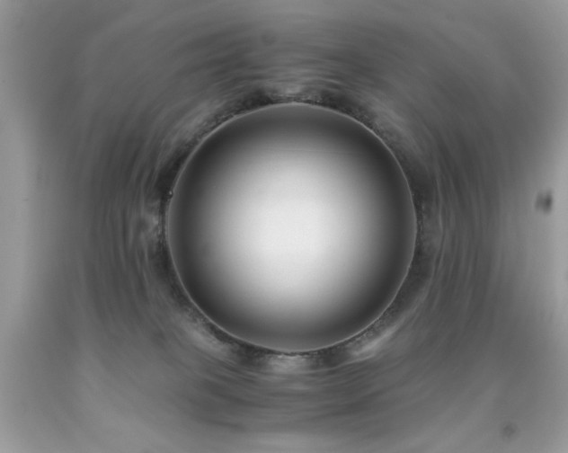 X0000091920085200709051449
