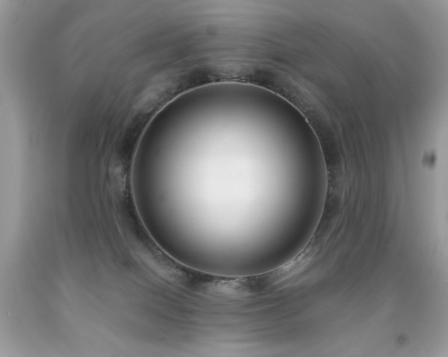 X0000091920086200709051449