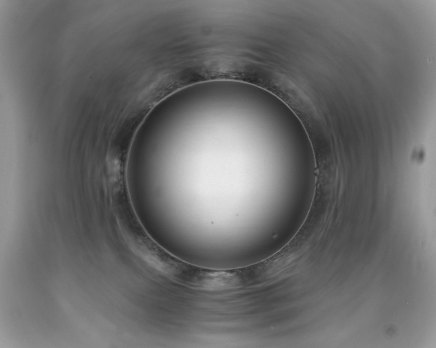 X0000091920087200709051449