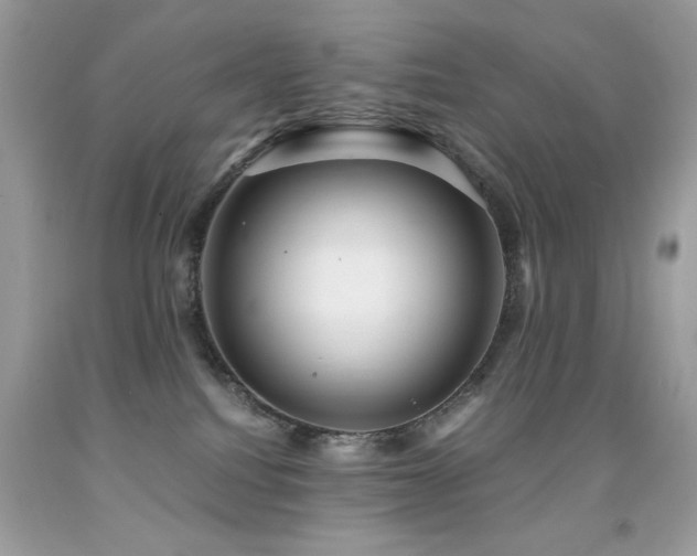 X0000091920088200709051449
