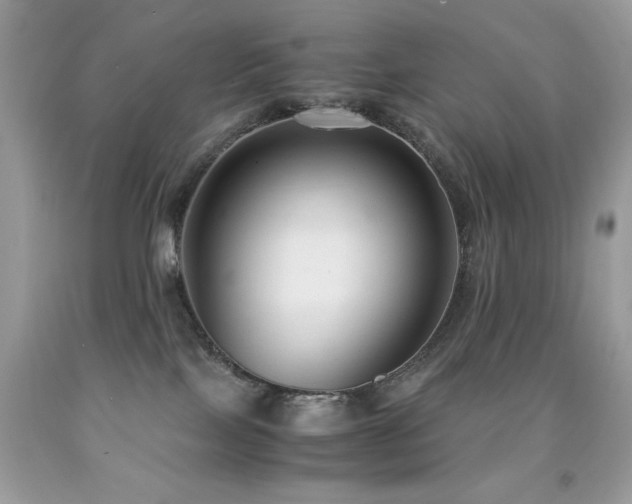 X0000091920089200709051449