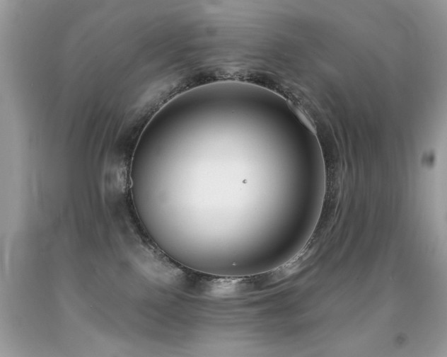 X0000091920090200709051449