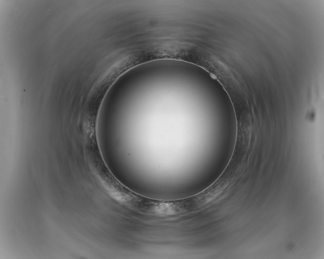 X0000091920091200709051449