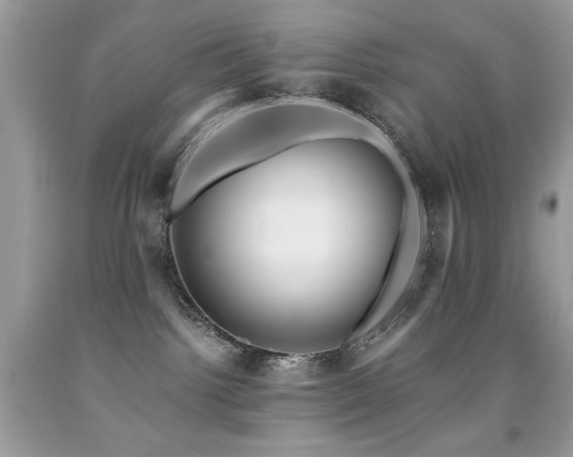 X0000091920092200709051449
